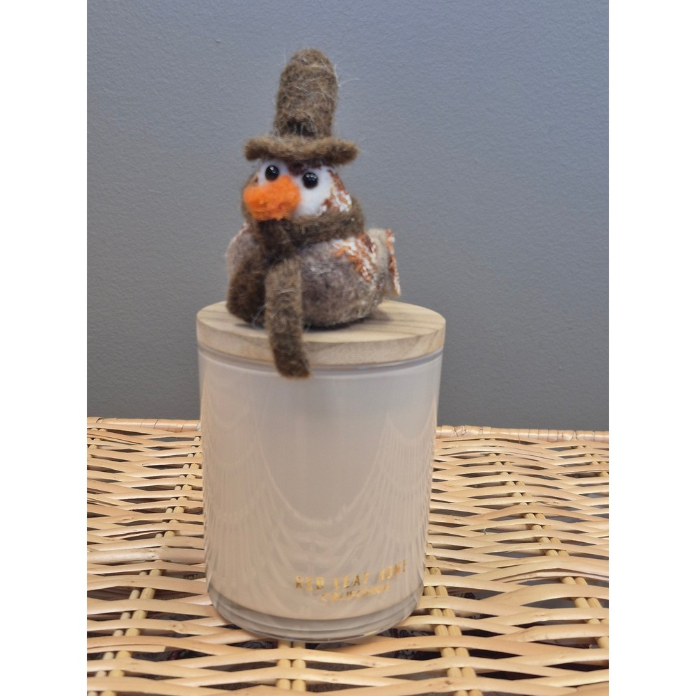Red Leaf Home Butternut Pumpkin Candle 11oz Felt Bird Topper Fall Decor Gift